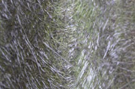 Comhampton fibreglass roof work